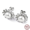 Anti-Tarnish Rhodium Plated 925 Sterling Silver Micro Pave Cubic Zirconia Sun Stud Earrings for Women EJEW-F318-03P-3