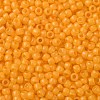 TOHO 11/0 Round Beads X-SEED-TR11-0148F-2