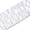 Dyed Natural Selenite Beads Strands G-T138-234A-1