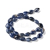 Natural Sodalite Beads Strands G-K357-A01-01-3