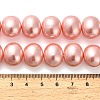 Shell Pearl Beads Strands BSHE-F013-01B-4