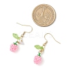 Handmade Glass Seed Beads Apple Dangle Earrings EJEW-MZ00575-02-4