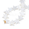 Natural Freshwater Shell Beads Strands X-SHEL-S278-01D-01-4