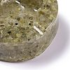 Resin with Natural Rutilated Quartz Chip Stones Ashtray DJEW-F015-05G-2