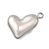 304 Stainless Steel Pendants STAS-Z163-18P-1