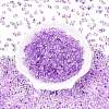 Spray Painted with Glitter Powder Glass Seed Beads SEED-T007-09B-1