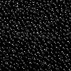 MIYUKI 3.4mm Drop Beads Y-SEED-MY04-DP401-2