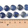 Natural Lapis Lazuli Beads Strands G-D316-A05-4