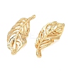 SHEGRACE Brass Pendants XGRQ3D001-506G-2