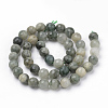 Natural Green Line Jasper Beads Strands G-Q462-102-6mm-2