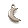 304 Stainless Steel Charms LS-STAS-D310-06P-02-1