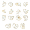 15Pcs Mini Natural Spiral Shell Beads FIND-PH0026-80-1