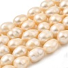 Natural Cultured Freshwater Pearl Beads Strands PEAR-I007-01H-02B-2