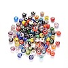 Handmade Lampwork European Beads X-LPDL-N001-M-1