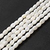Natural Freshwater Shell Beads Strand BSHE-E026-16B-1