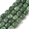 Dyed Natural Malaysia Jade Beads Strands G-P528-I09-01-1