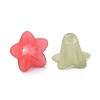 Transparent Acrylic Beads PLF018-4