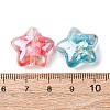 Transparent Resin & Natural Shell Beads RESI-B039-03A-3