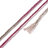 10 Skeins 6-Ply Polyester Embroidery Floss OCOR-K006-A77-3