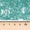 MIYUKI Delica Beads SEED-X0054-DB2506-3