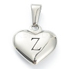 304 Stainless Steel Pendants STAS-P278-01Z-P-1