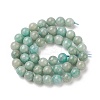 Natural Amazonite Beads Strands G-K068-03-8mm-01-2