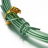 Round Aluminum Craft Wire AW-D009-0.8mm-10m-25-2