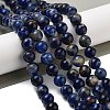 Natural South Africa Sodalite Beads Strands G-S259-35-8mm-5