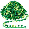6.5 Yards Gradient Color Polyester Pom Pom Ball Tassel Ribbons DIY-GA0006-95C-1