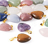 Fashewelry 20Pcs 10 Styles Natural Mixed Gemstone Pendants G-FW0001-39-24