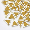 Alloy Pendants PALLOY-T067-163E-1