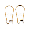 304 Stainless Steel Hoop Earring Findings STAS-P223-01G-01-1