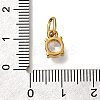 Ion Plating(IP) 304 Stainless Steel Rhinestone Pendants STAS-A104-15G-01-3