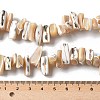Dyed Natural Trochus Shell Beads Strands X-SSHEL-C013-09K-4