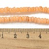 Dyed Natural Freshwater Shell Beads Strands X1-BSHE-G039-07A-4