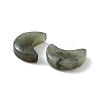 Natural Labradorite Beads X-G-NH0001-01D-2