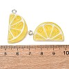 Fruit Theme Opaque Resin Imitation Food Pendants RE-CBA49A8-04B-3
