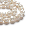 Natural Cultured Freshwater Pearl Beads Strands PEAR-L001-A-07-01-3
