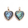 Natural Abalone Shell/Paua ShellCharms X-BSHE-F011-04B-G-1