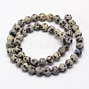 Natural Dalmatian Jasper Beads Strands G-D685-10mm-2