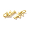 Brass Pendants KK-M273-03G-F-2