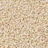MIYUKI Delica Beads SEED-X0054-DB0204-3