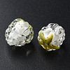 Handmade Lampwork Beads LAMP-T011-14F-3