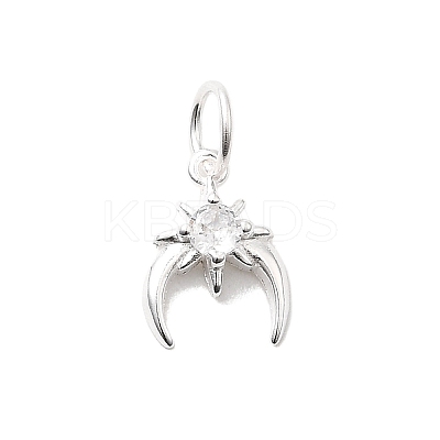 925 Sterling Silver Micro Pave Cubic Zirconia Charms STER-D309-01A-S-1
