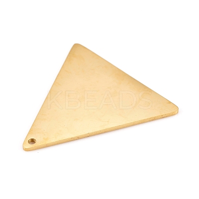 304 Stainless Steel Pendants STAS-L238-113A-G-1