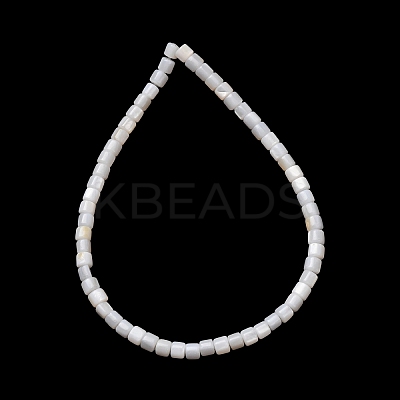 Natural Freshwater Shell Beads Strands SH-CBA2978-21C-1