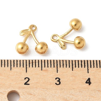 304 Stainless Steel Charms STAS-Z133-01G-1