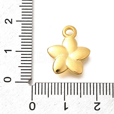 304 Stainless Steel Pendants STAS-P381-10G-1