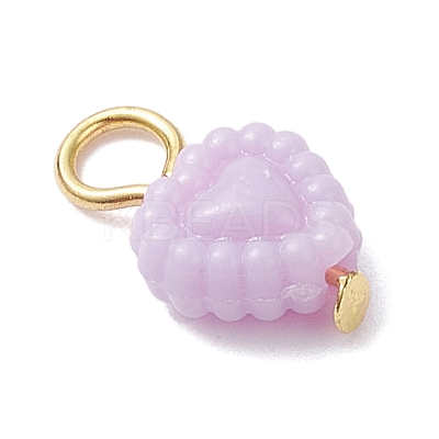 Opaque Acrylic Pendants PALLOY-JF04351-02-1