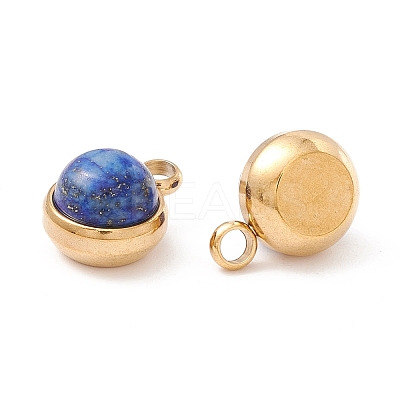 Natural Lapis Lazuli Charms G-K325-01G-02-1
